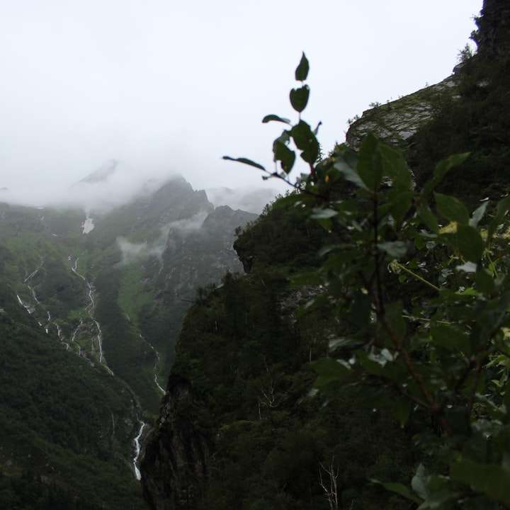 gröna berg täckta med dimma Pussel online