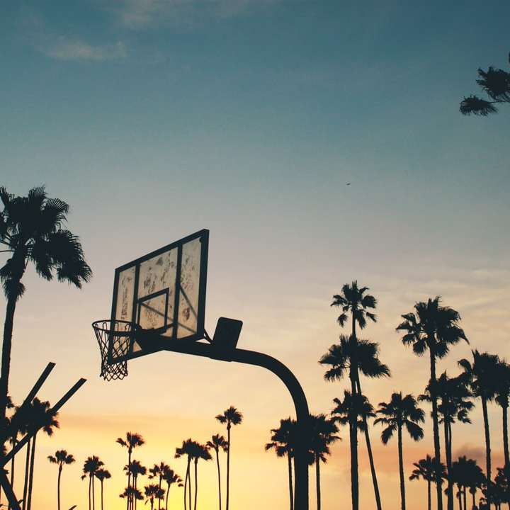 silhouette photo of basketball system online puzzle