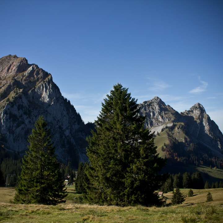 pini verdi vicino alla montagna sotto il cielo blu durante il giorno puzzle online