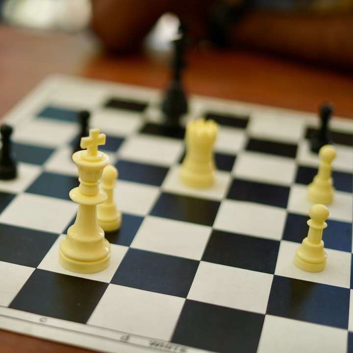 vitt och svart schackspel Pussel online