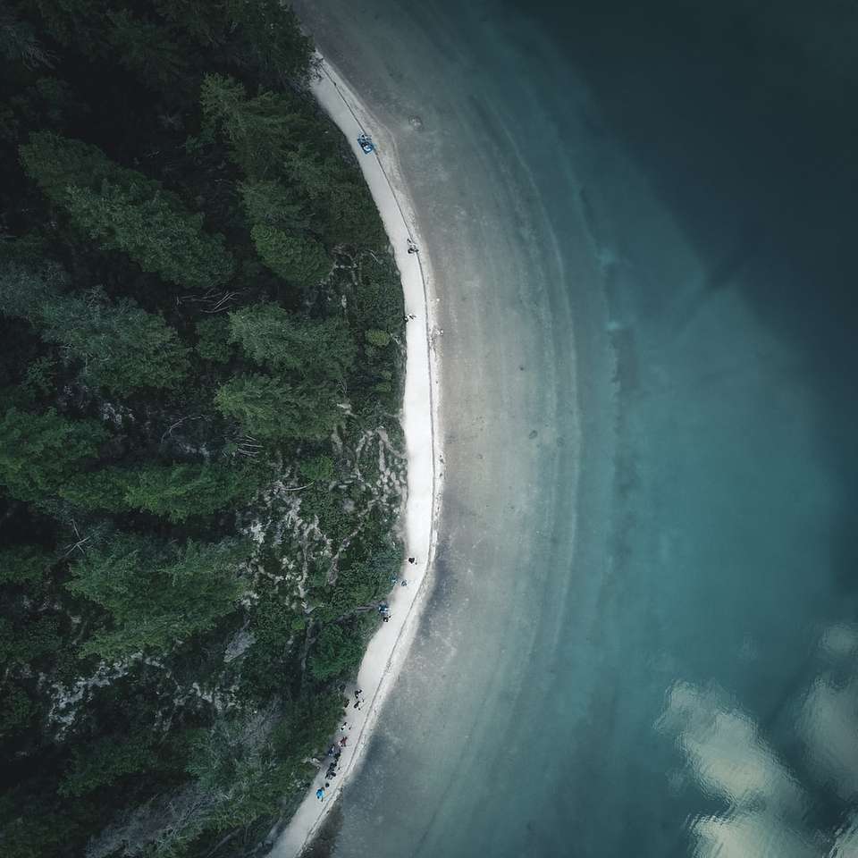 fotografia aérea de árvores perto do mar durante o dia puzzle deslizante online