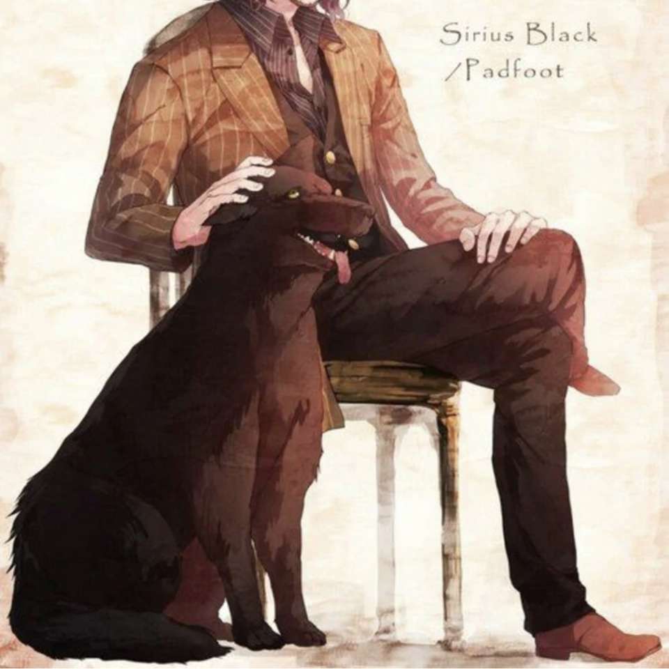 Sirius Black Schiebepuzzle online