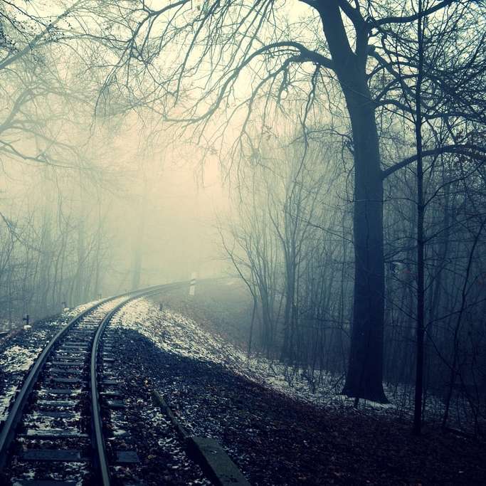裸木の間にある列車のレールの写真 スライディングパズル・オンライン