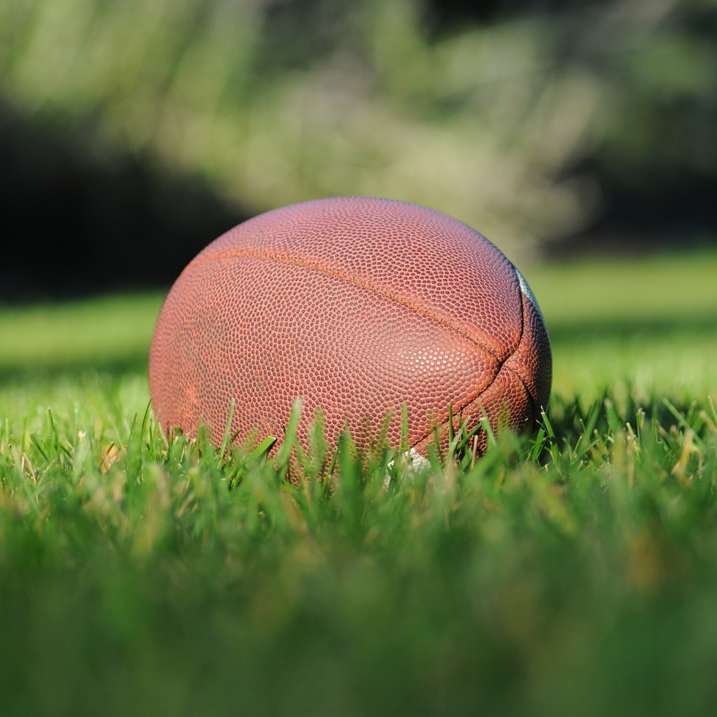 selective focus photography of brown football on grass sliding puzzle online
