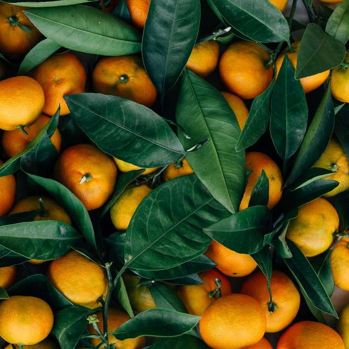 オレンジ色の果物 オンラインパズル