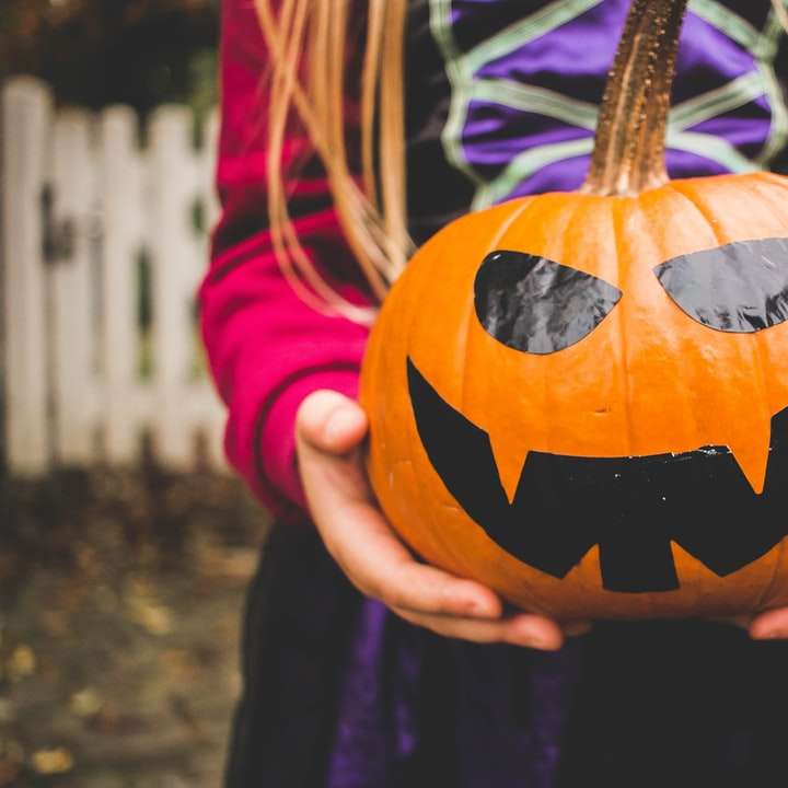 selective focus photography of person holding pumpkin online puzzle