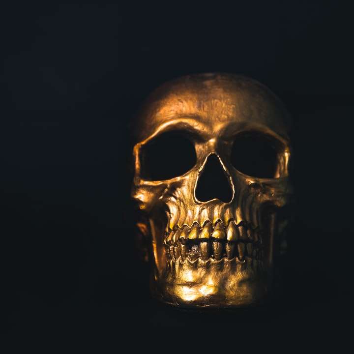 decor craniu de aur alunecare puzzle online