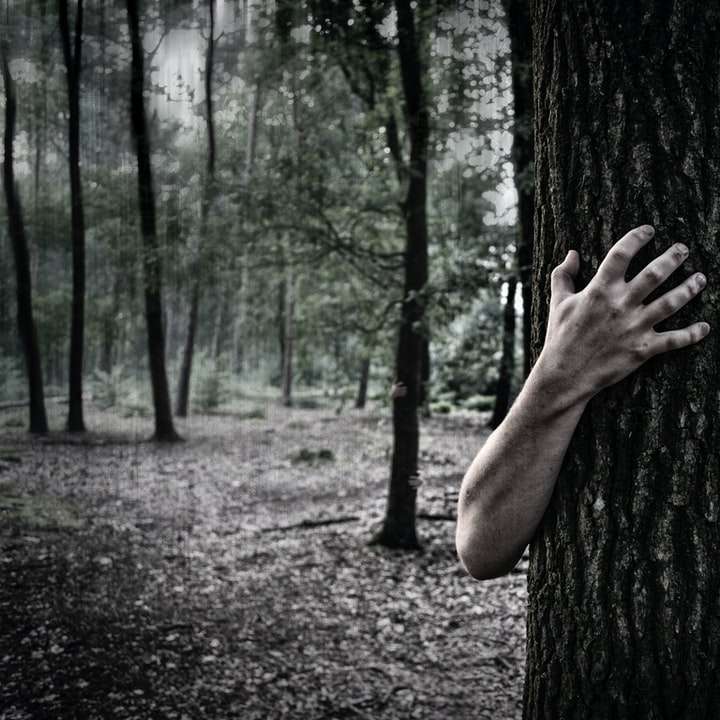 άτομο που αγκαλιάζει το δέντρο συρόμενο παζλ online