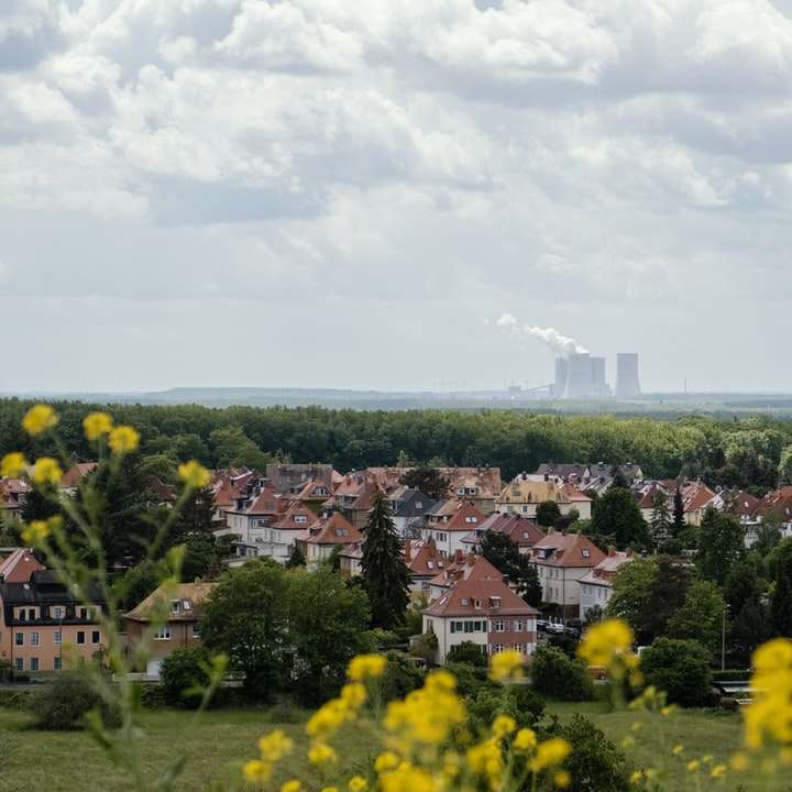 gelbes Blumenfeld in der Nähe von Stadtgebäuden unter weißen Wolken Schiebepuzzle online