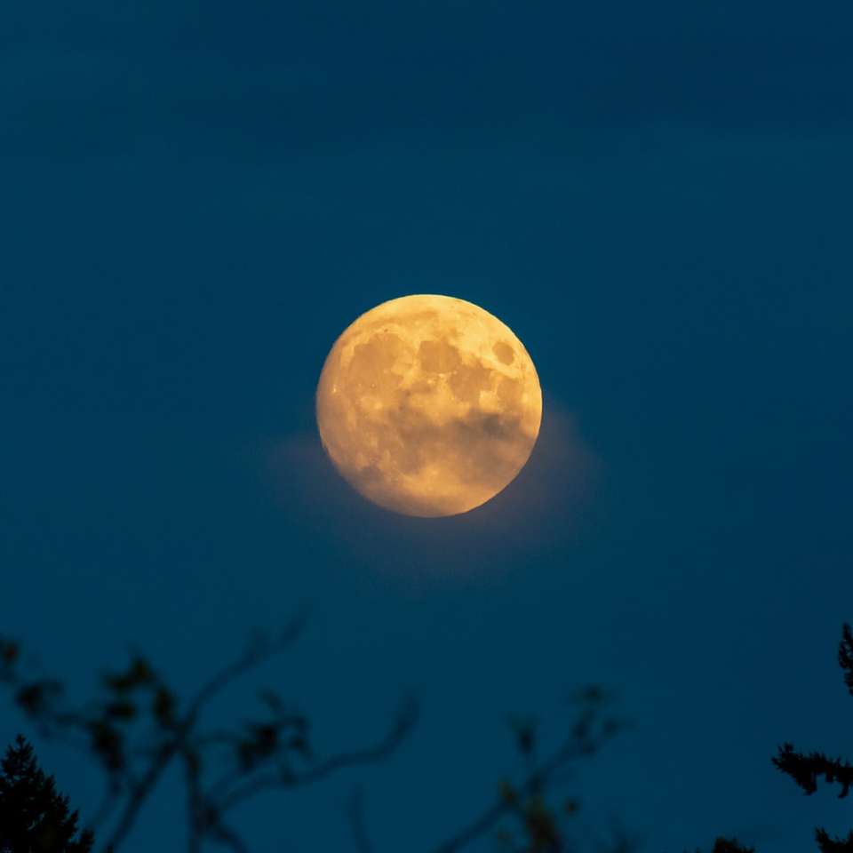 zicht op volle maan tijdens de nacht schuifpuzzel online