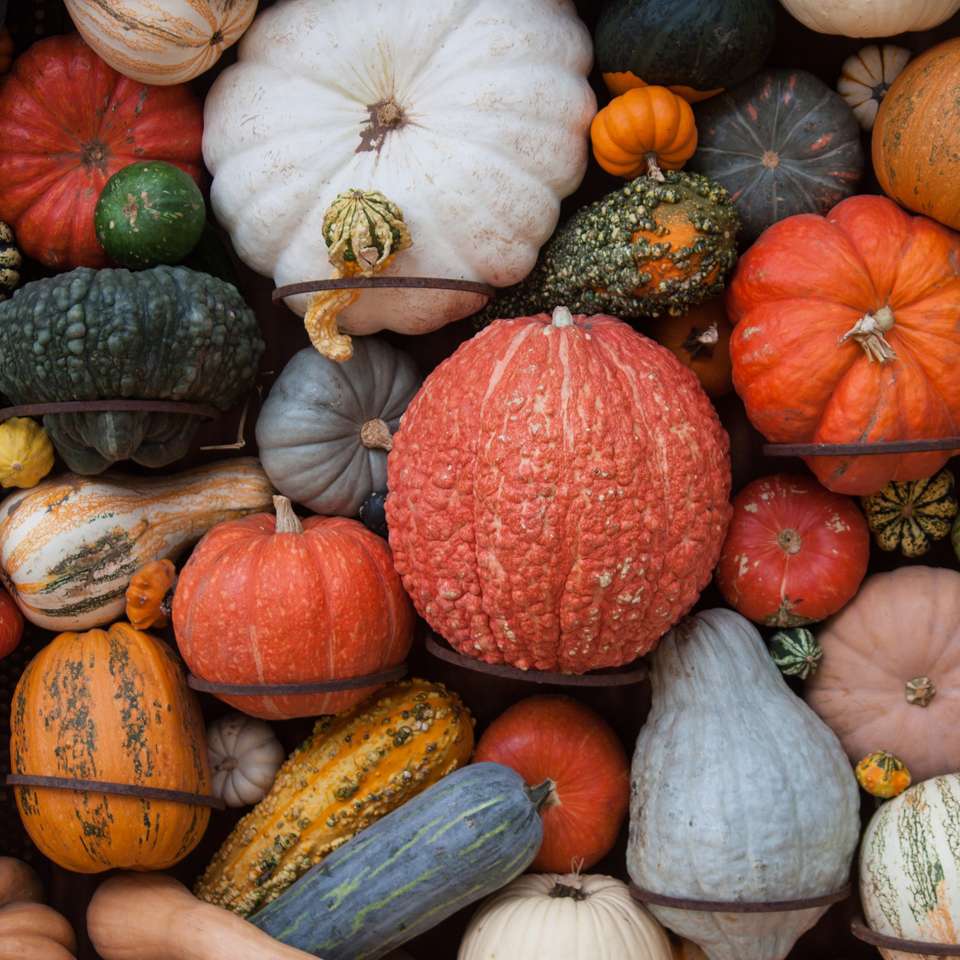 Colored Gourds online puzzle
