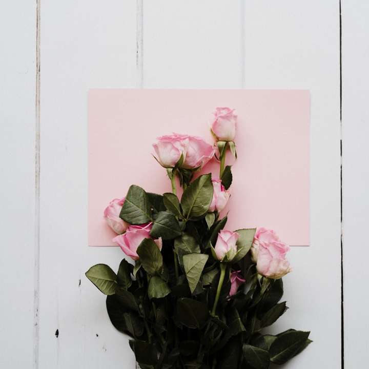 ροζ λουλούδι σε μαύρο δοχείο online παζλ