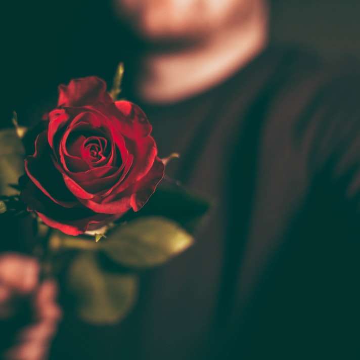 macro shot photography of man holding red rose sliding puzzle online