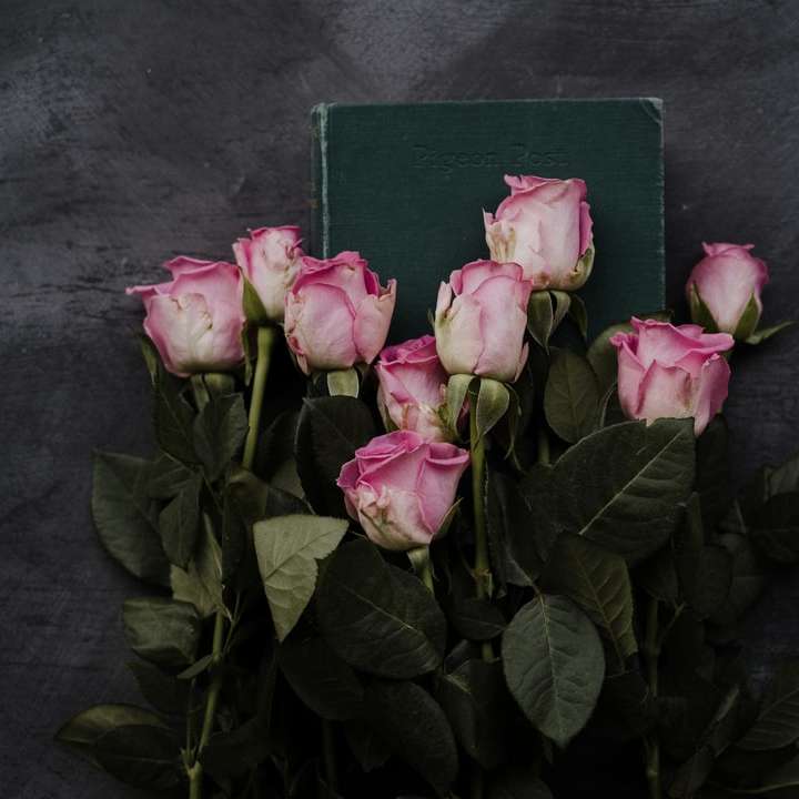 розови рози върху черен текстил онлайн пъзел