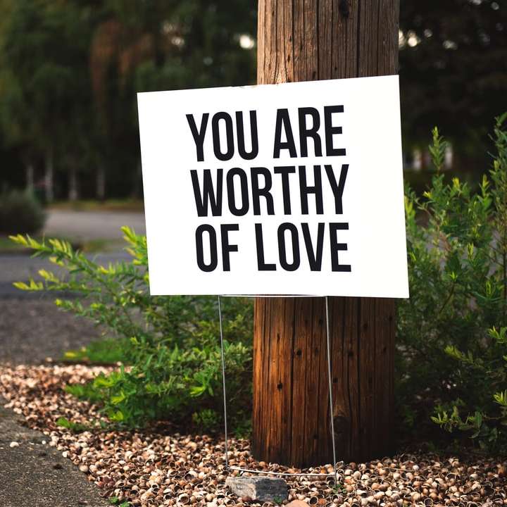 you are worthy of love sign beside tree and road online puzzle