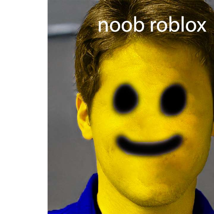 noob roblox Online-Puzzle