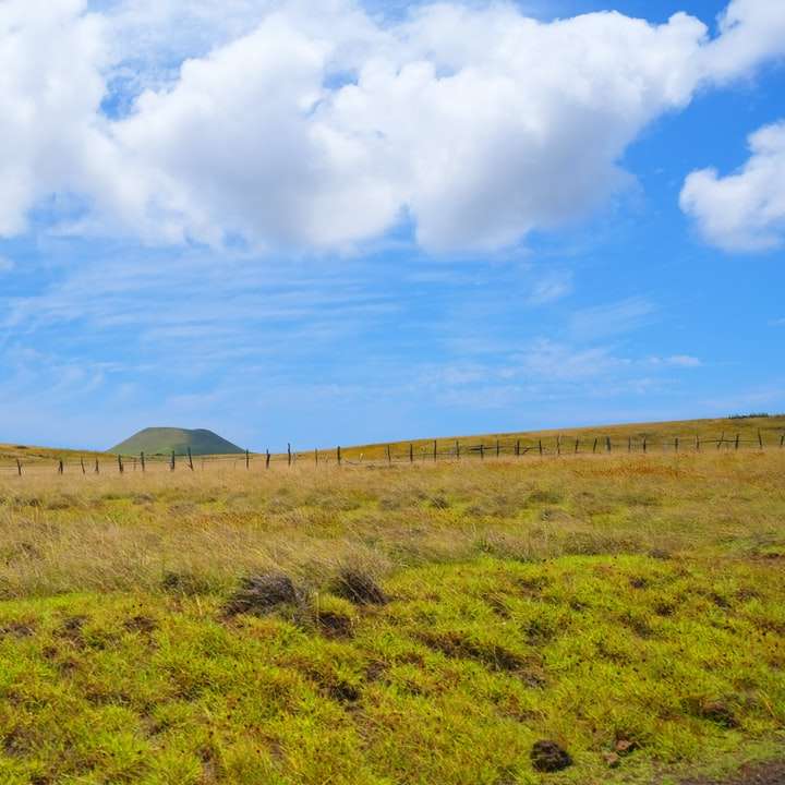 campo de grama verde sob céu azul durante o dia puzzle deslizante online