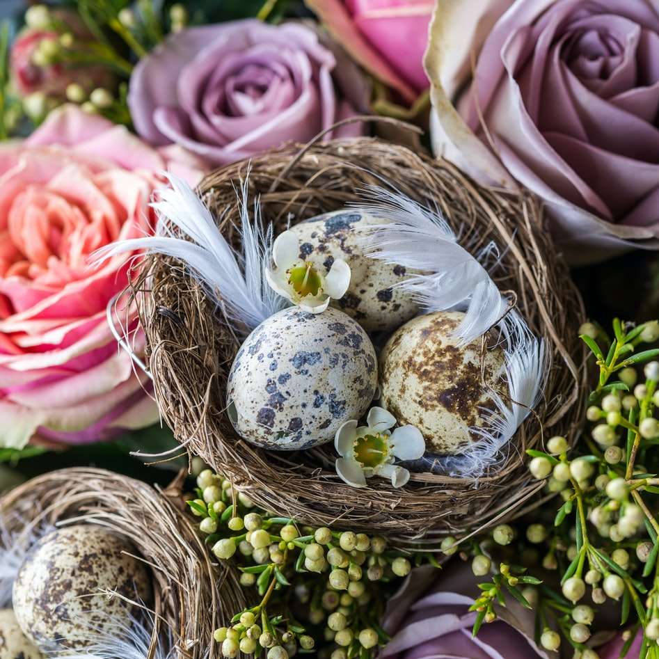 křepelčí vejce na hnědé hnízdo s květinami online puzzle