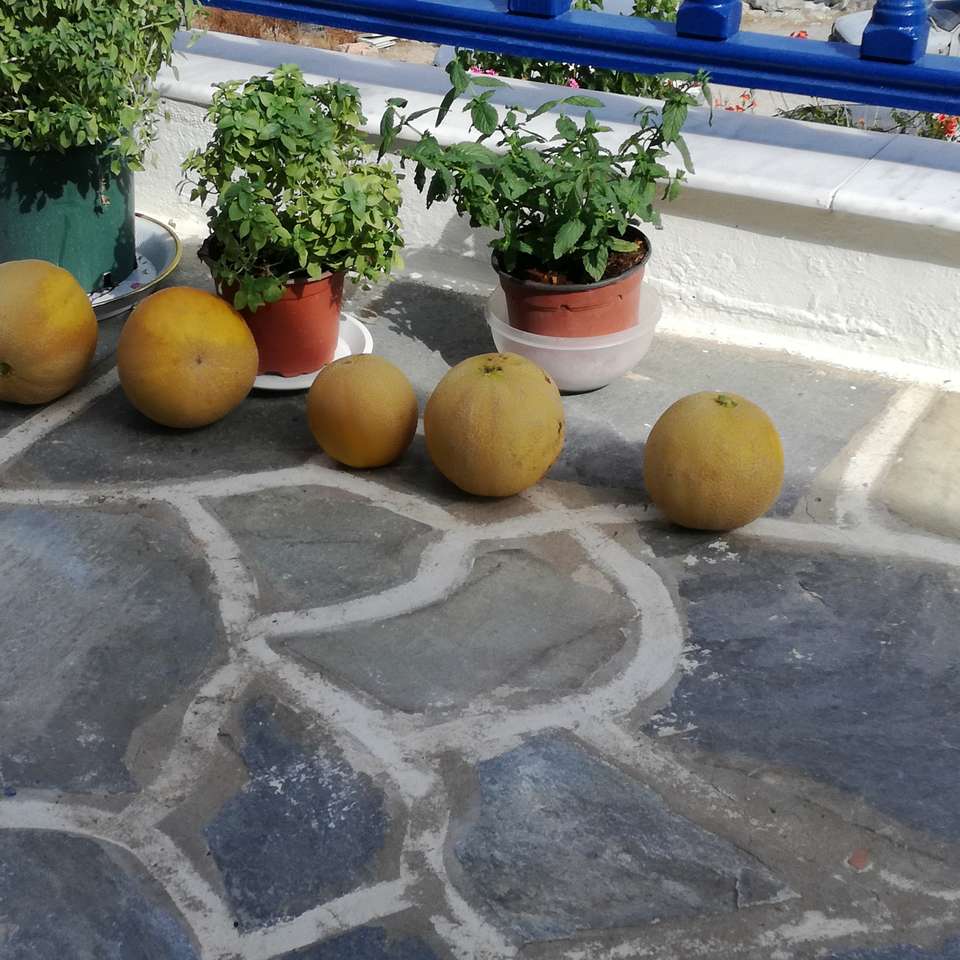 melon_paros csúszó puzzle online