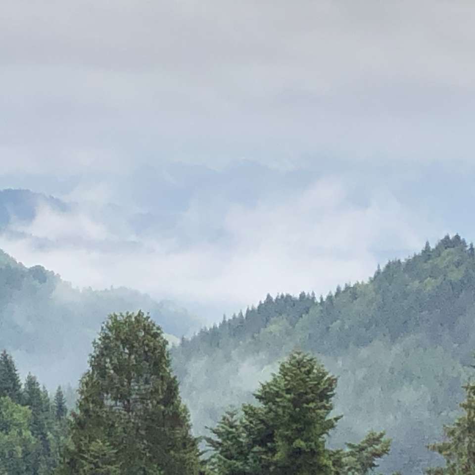Niebla en las montañas rompecabezas en línea