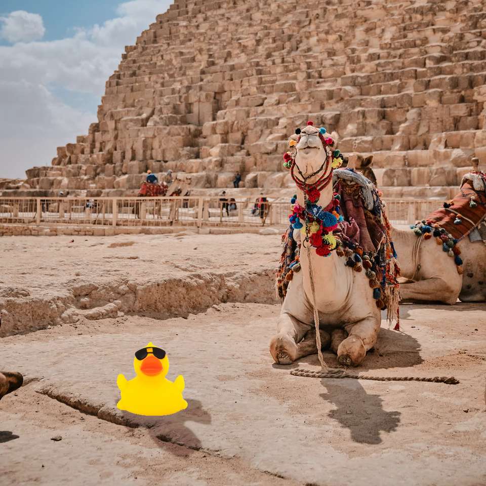 Camel and Duck online puzzle