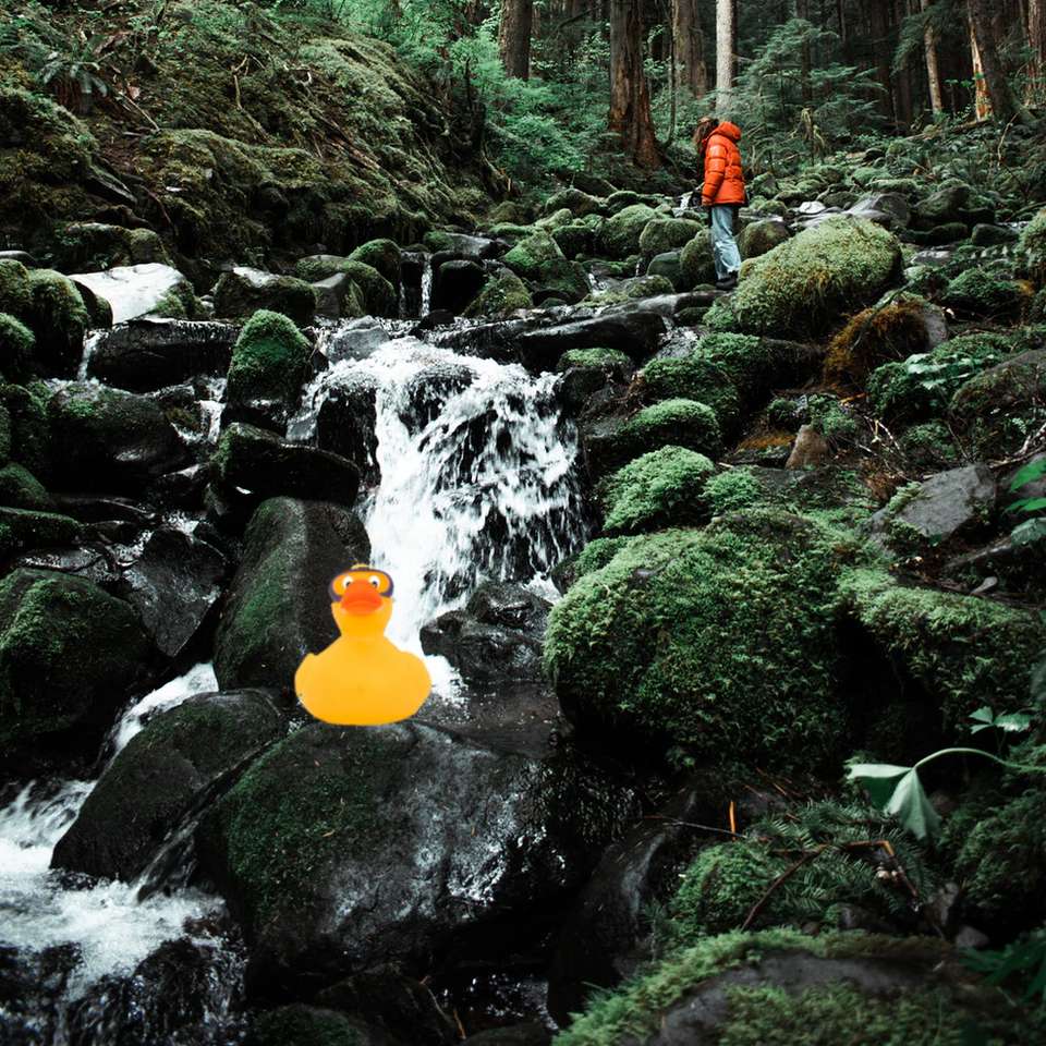 Wasserfall-Ente Schiebepuzzle online