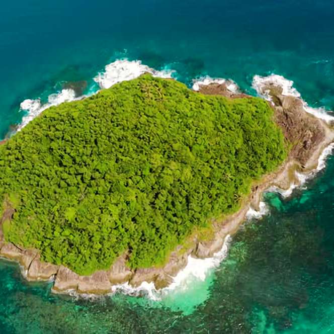 Insula supraviețuitorului alunecare puzzle online