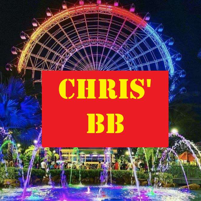 Logo-ul lui Chris BB S1 alunecare puzzle online