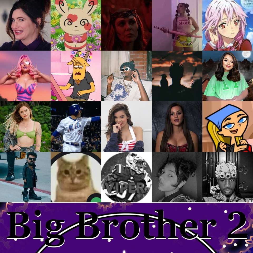 Dekt's Big Brother seizoen 2 online puzzel
