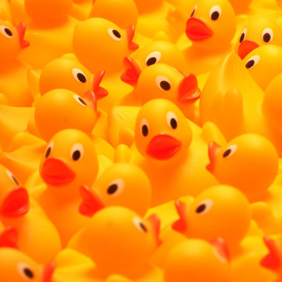 Rubber Ducks sliding puzzle online