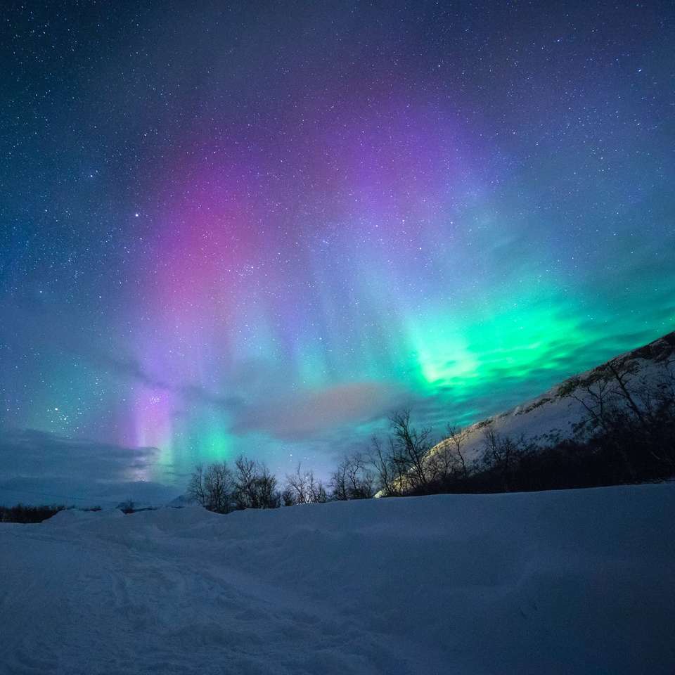 auroras boreales rompecabezas en línea