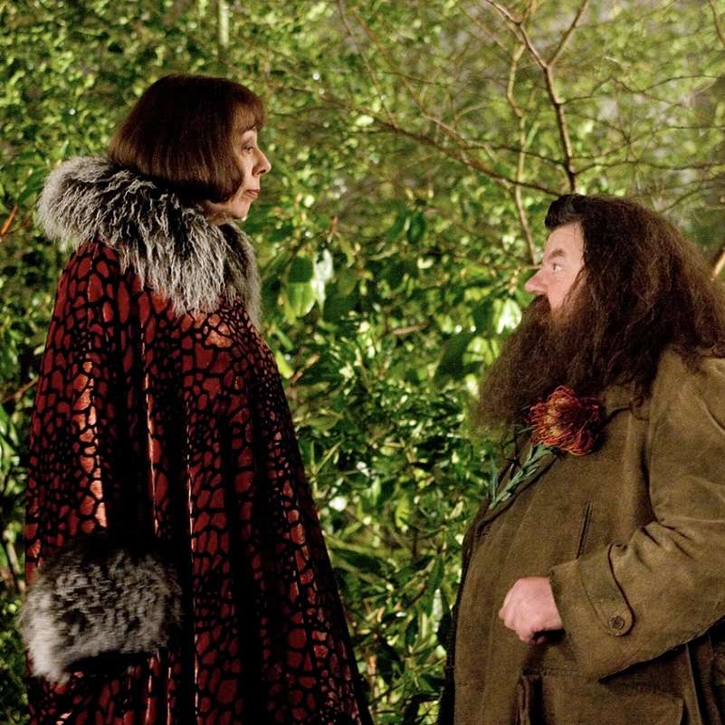 Hagrid a madame Maxime posuvné puzzle online