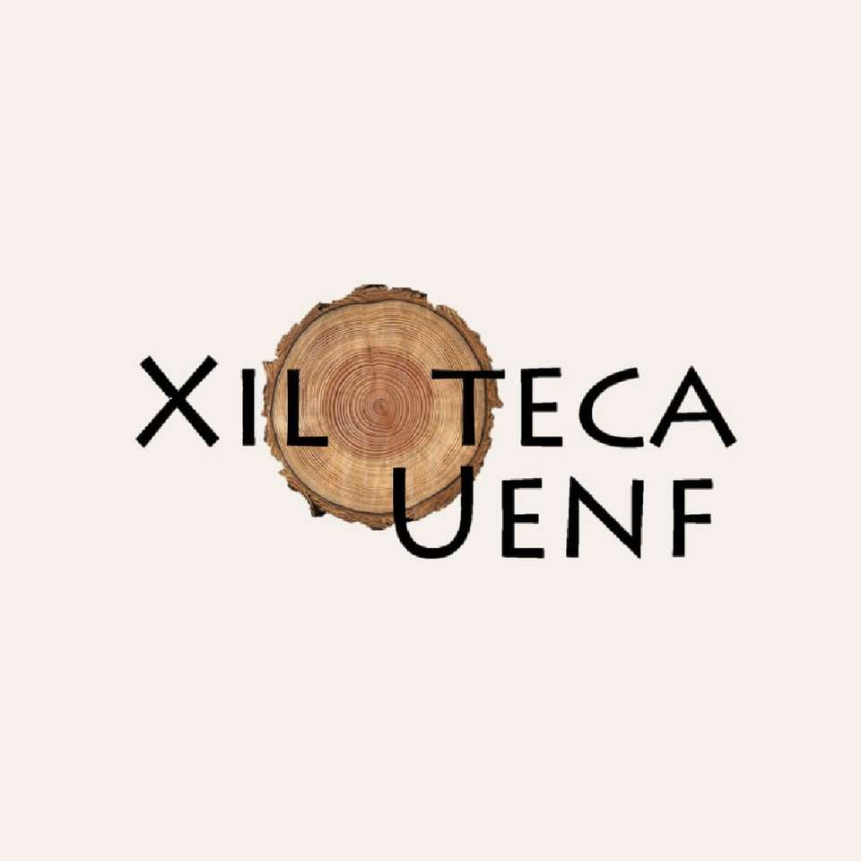 Logo xiloteca puzzle online