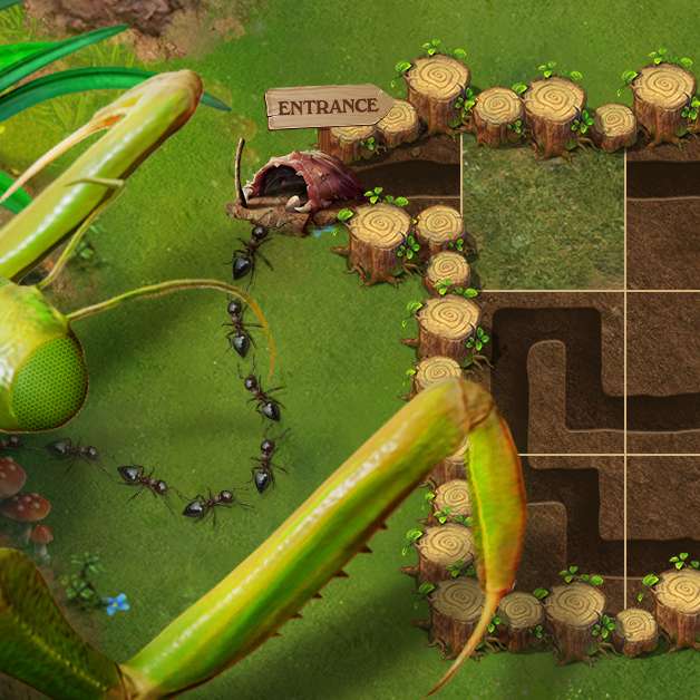 Ant Puzzle online puzzle