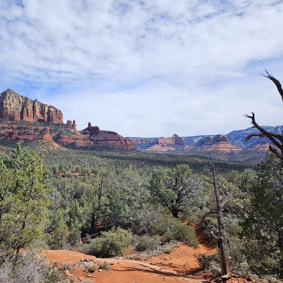 Sedona trees sliding puzzle online