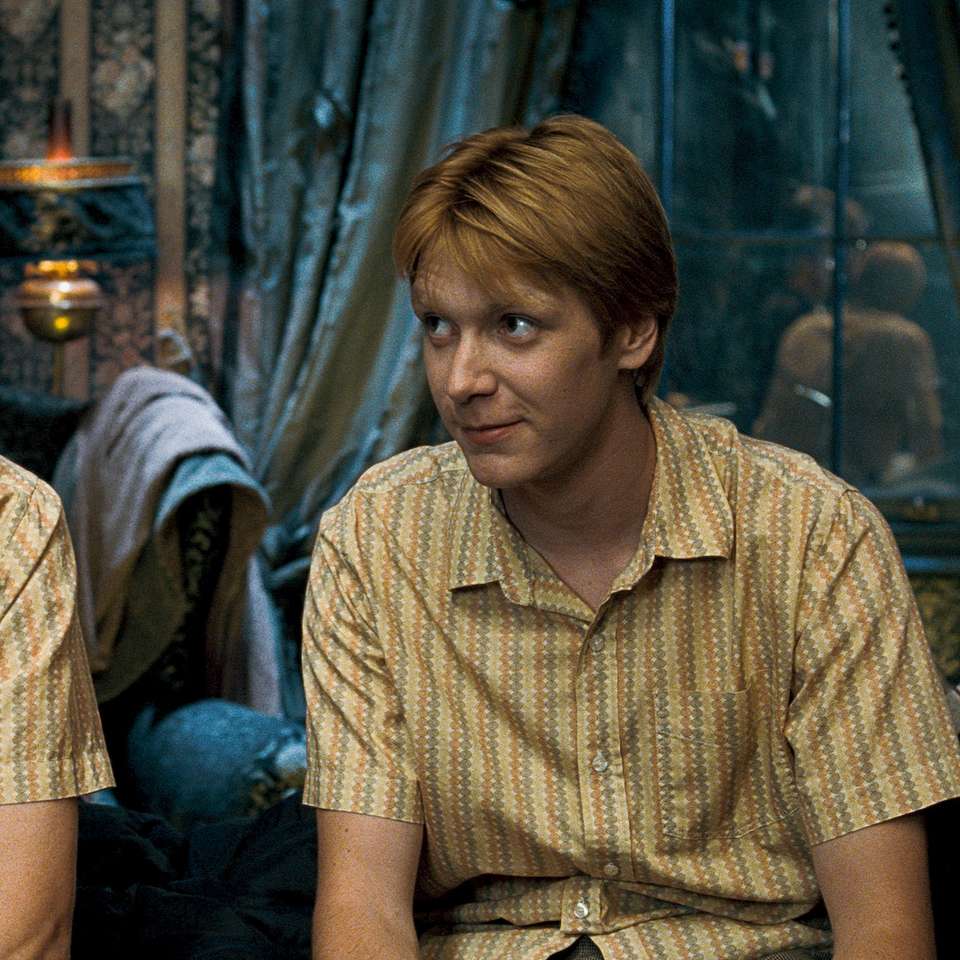 Gemenii Weasley alunecare puzzle online