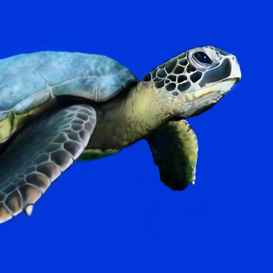 Sköldpaddor glidande pussel online