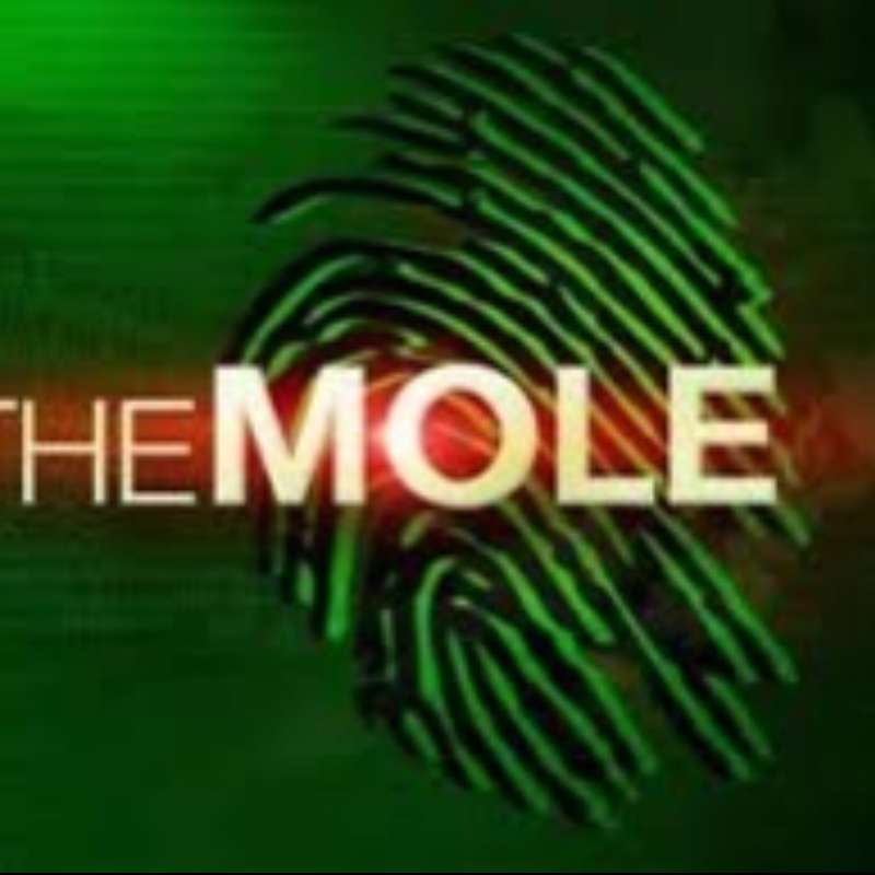 Mole Slide Easy online puzzle