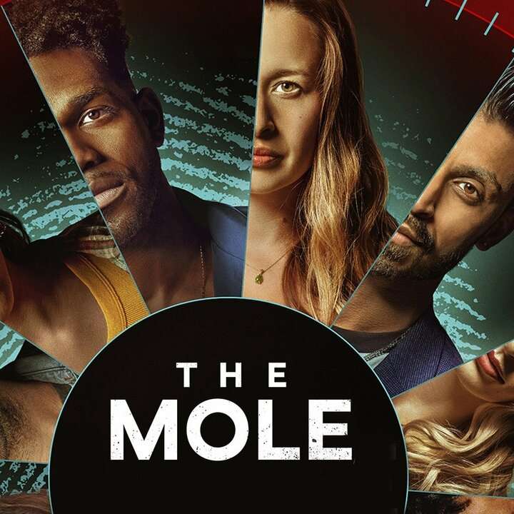 Mole Slide Hard puzzle online