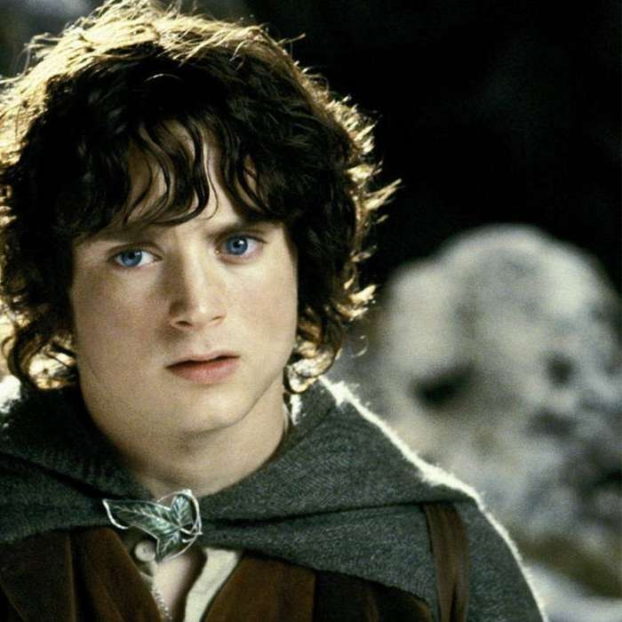 frodo_test online puzzle