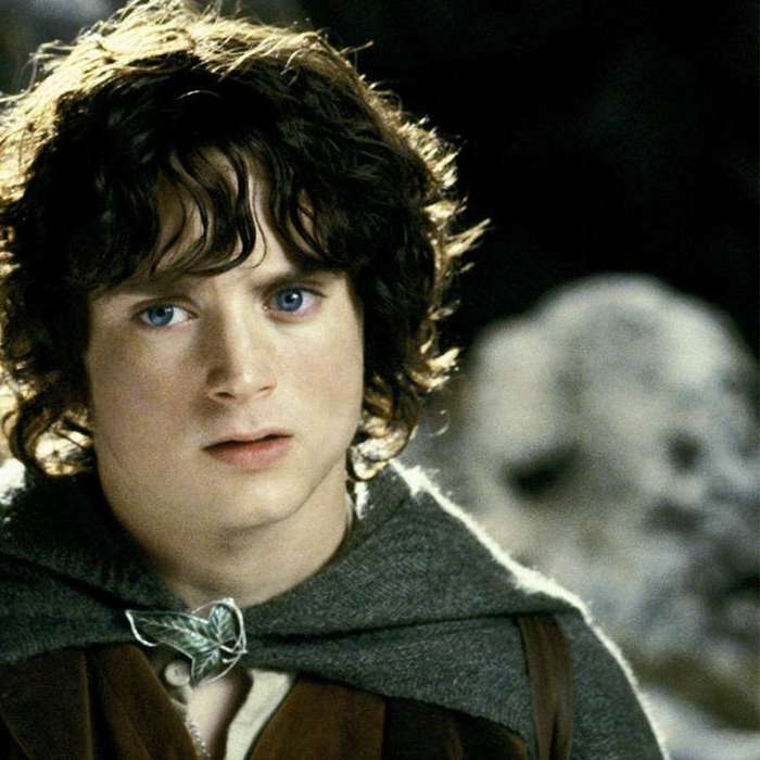 frodo_test онлайн пазл