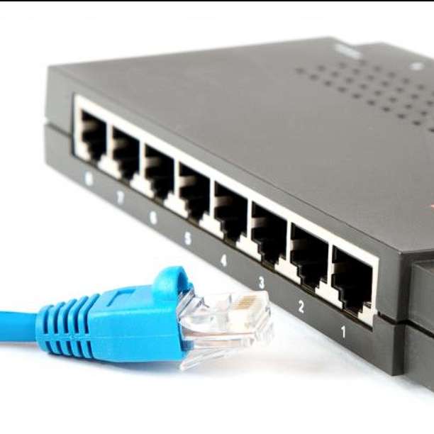Network Device: Switches and Hub online puzzle