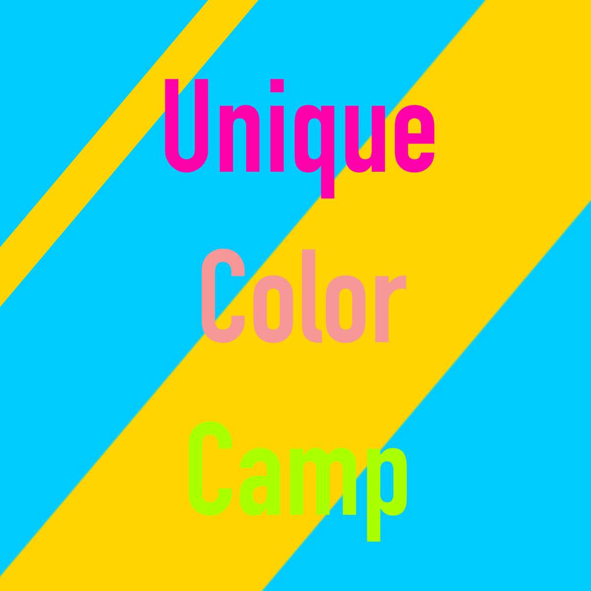 unique color camp online puzzle