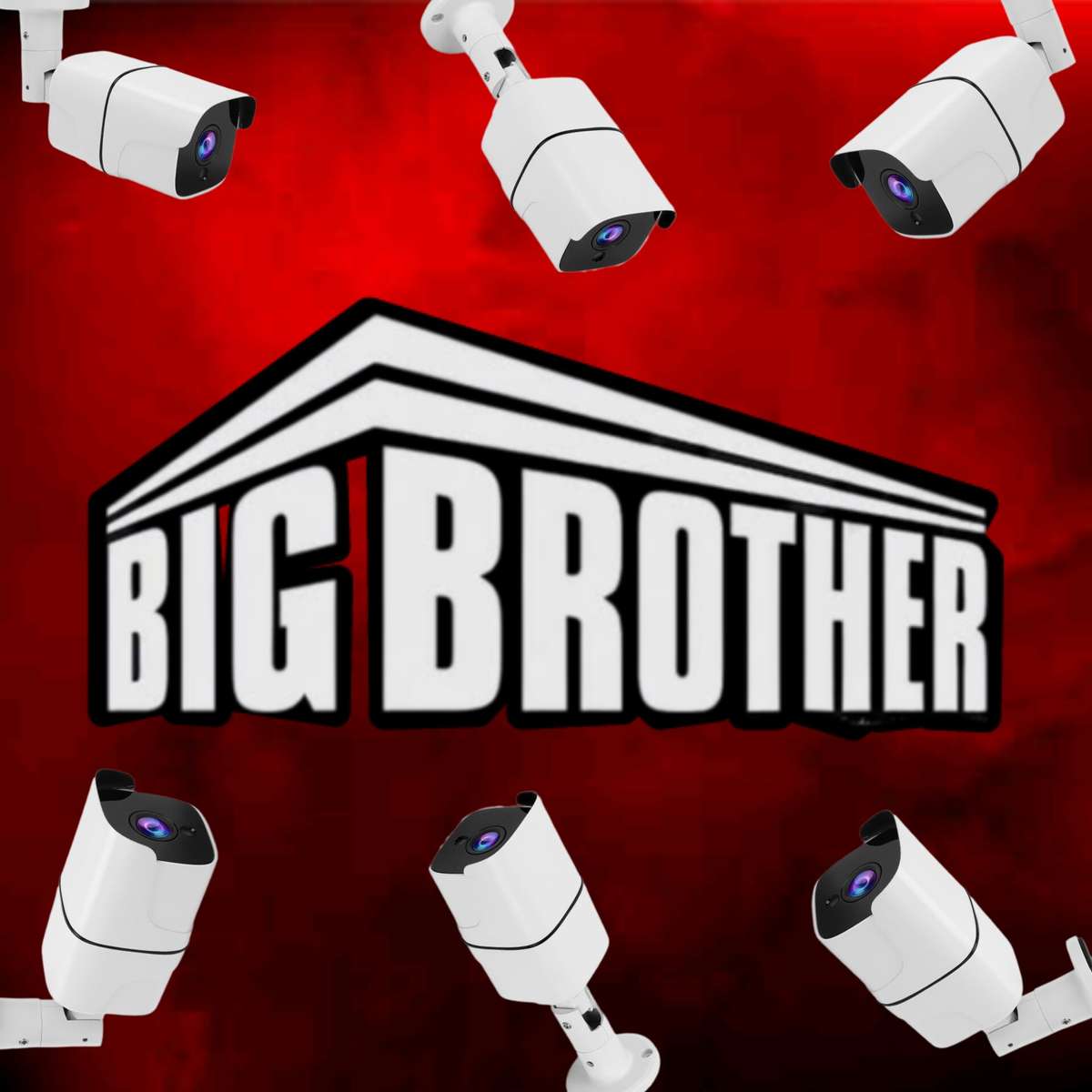 big brother online puzzle