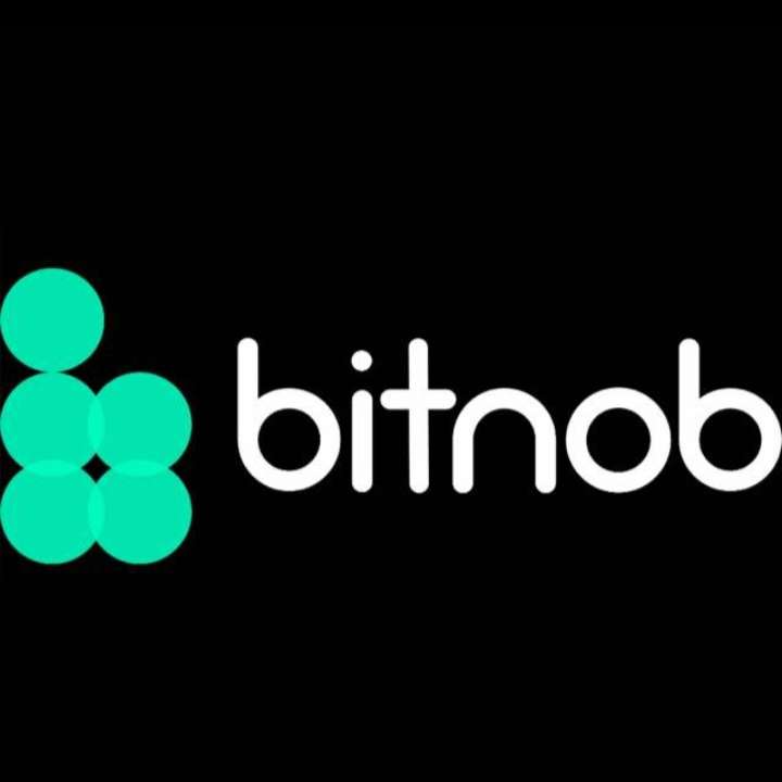 Logotipo do Bitnob puzzle online