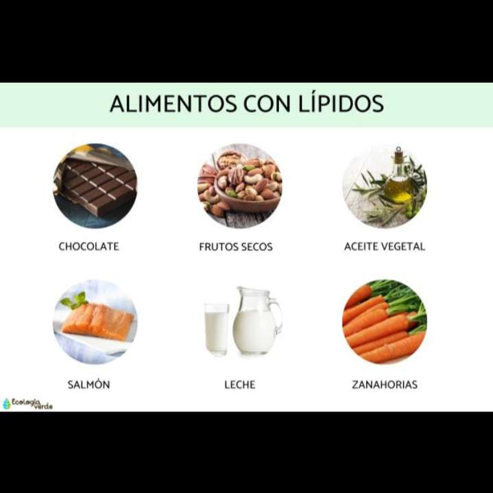 Lipiden online puzzel