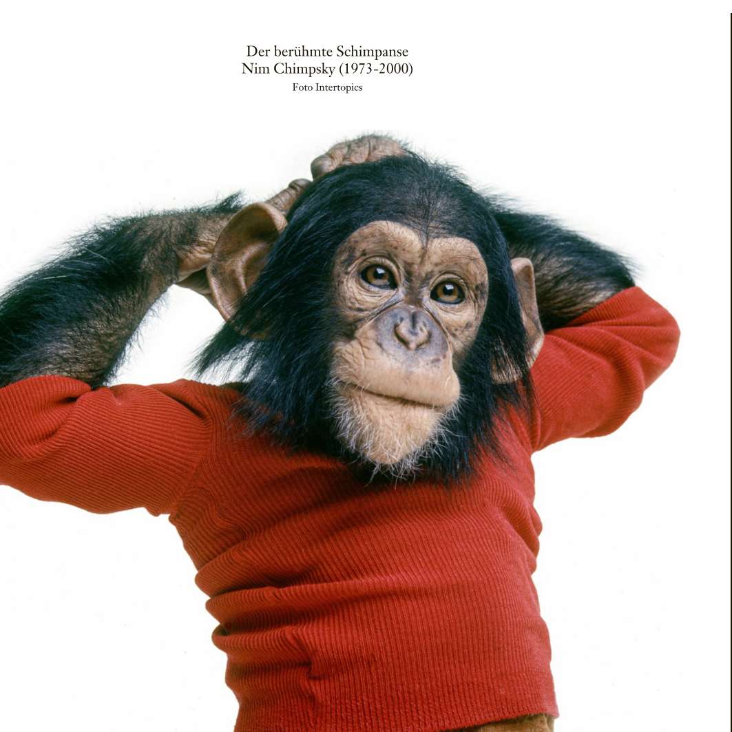 Macaco esticando os braços puzzle online