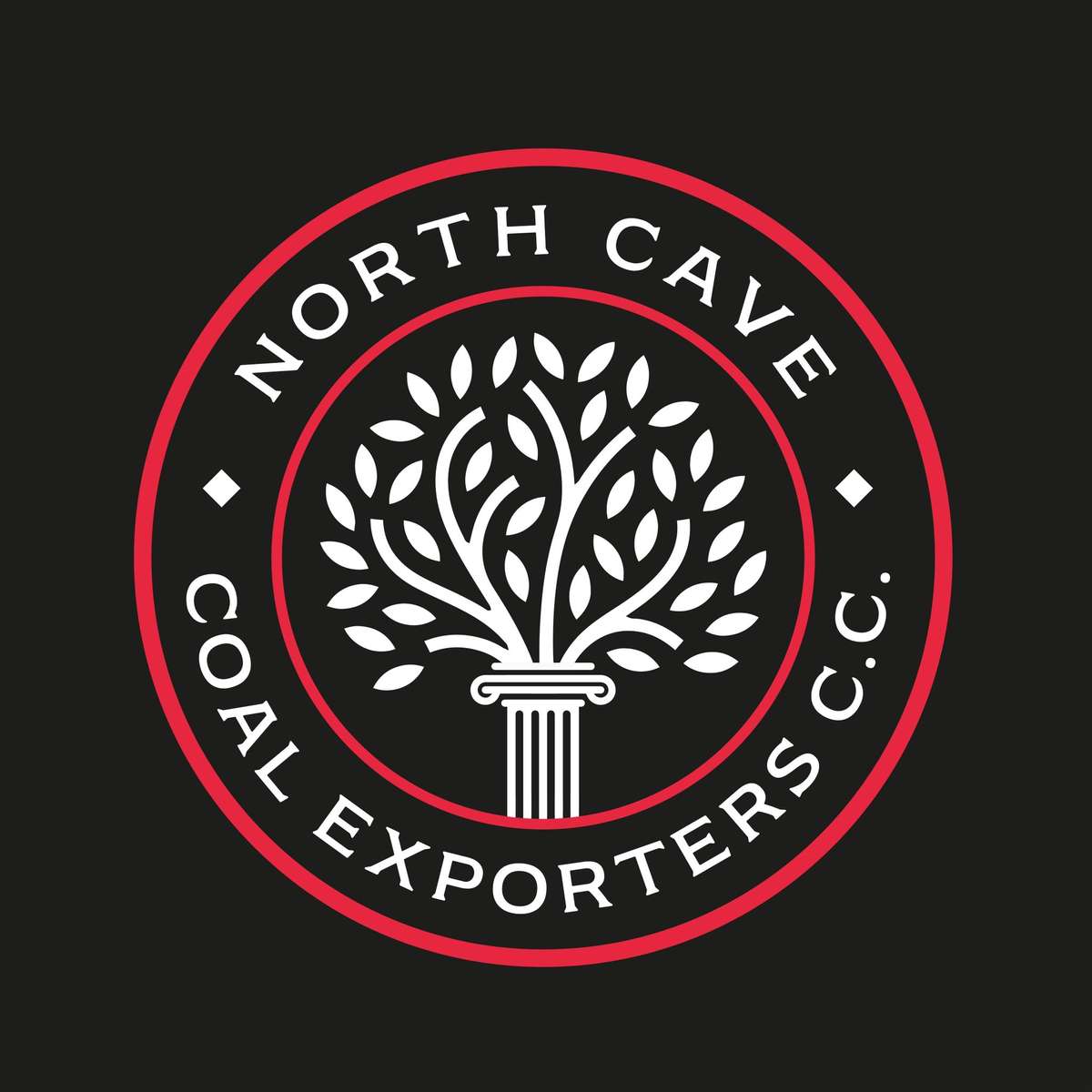 NCCE-logotyp glidande pussel online