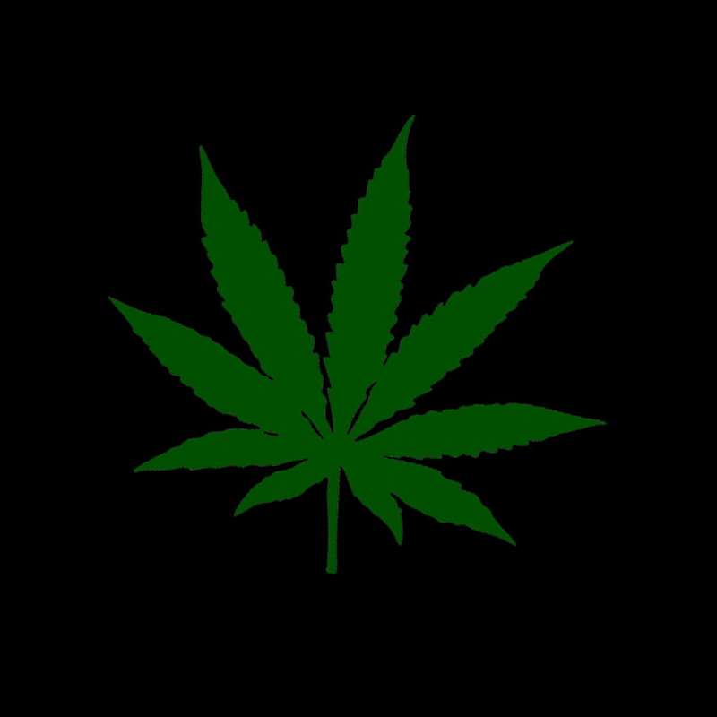WEED_ENSMI alunecare puzzle online