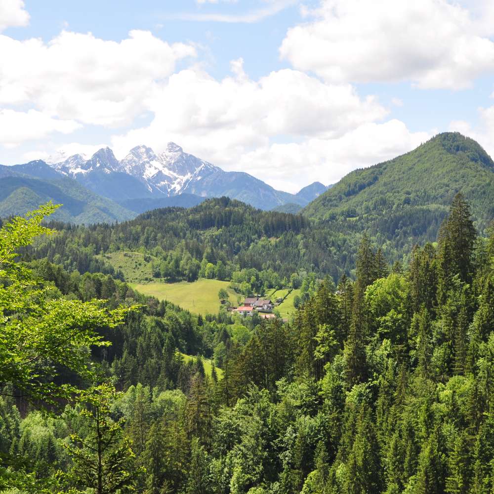 Австрийска гора онлайн пъзел